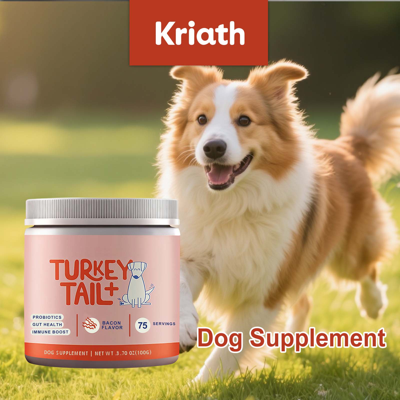 Poudre Probiotique Canine Sout - Health Wellness Vitality avis et prix
